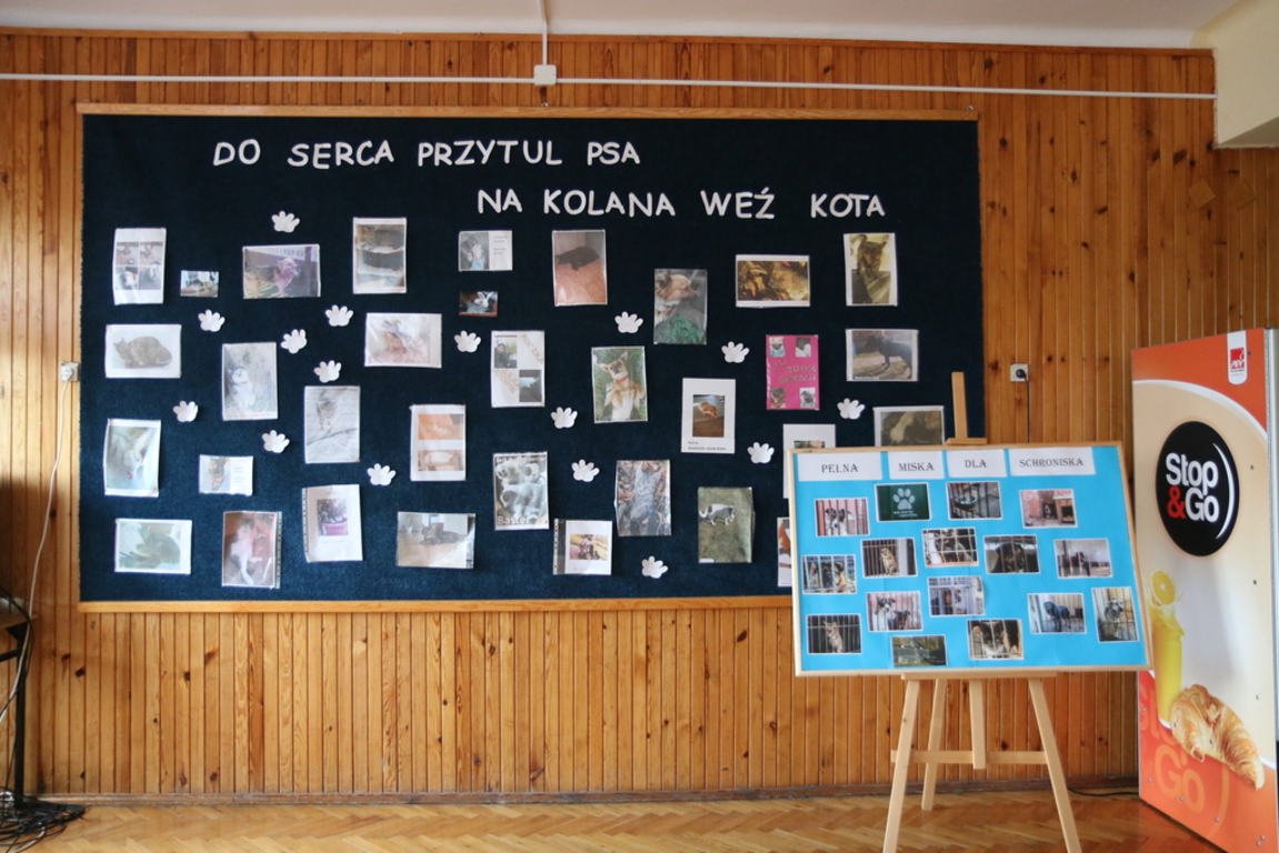 Tutaj powinien być opis
