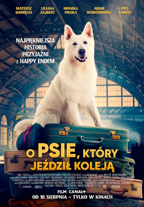 Tutaj powinien być opis