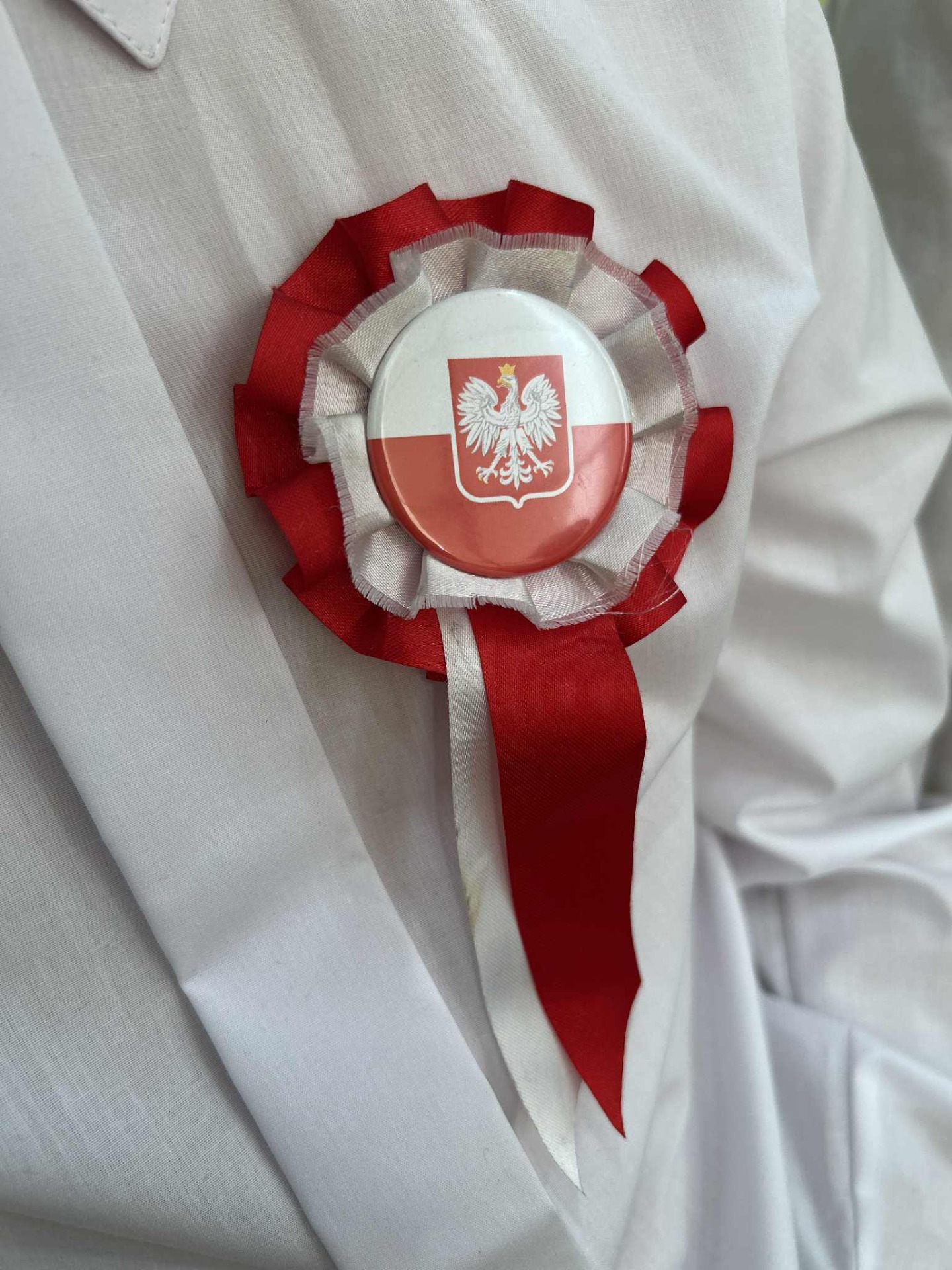 Apel z okazji odzyskania przez Polskę niepodległości 2025