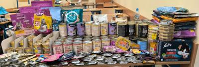 Finał zbiórki karmy dla kociąt 