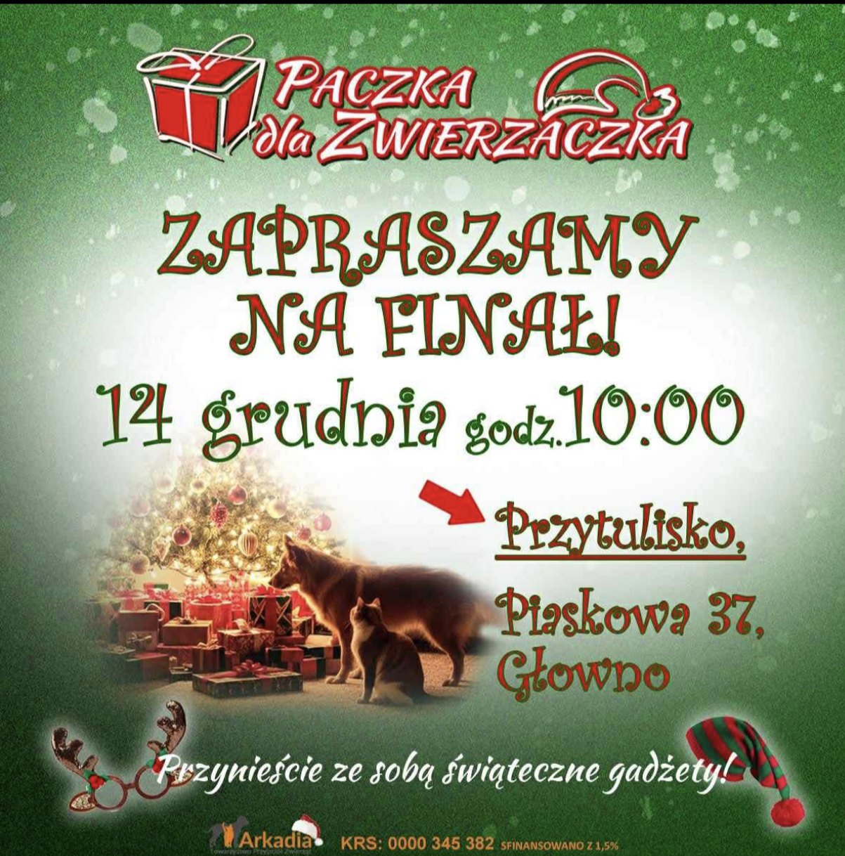 Paczka dla zwierzaczka 2025