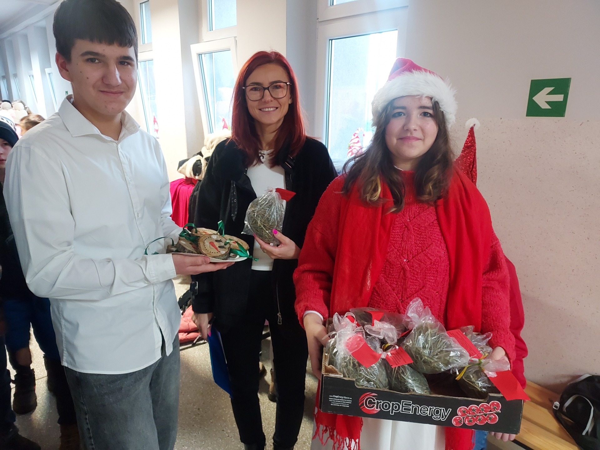 Tutaj powinien być opis