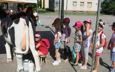 Piknik Ekologiczny-Włoszczowa 5 czerwca 2019