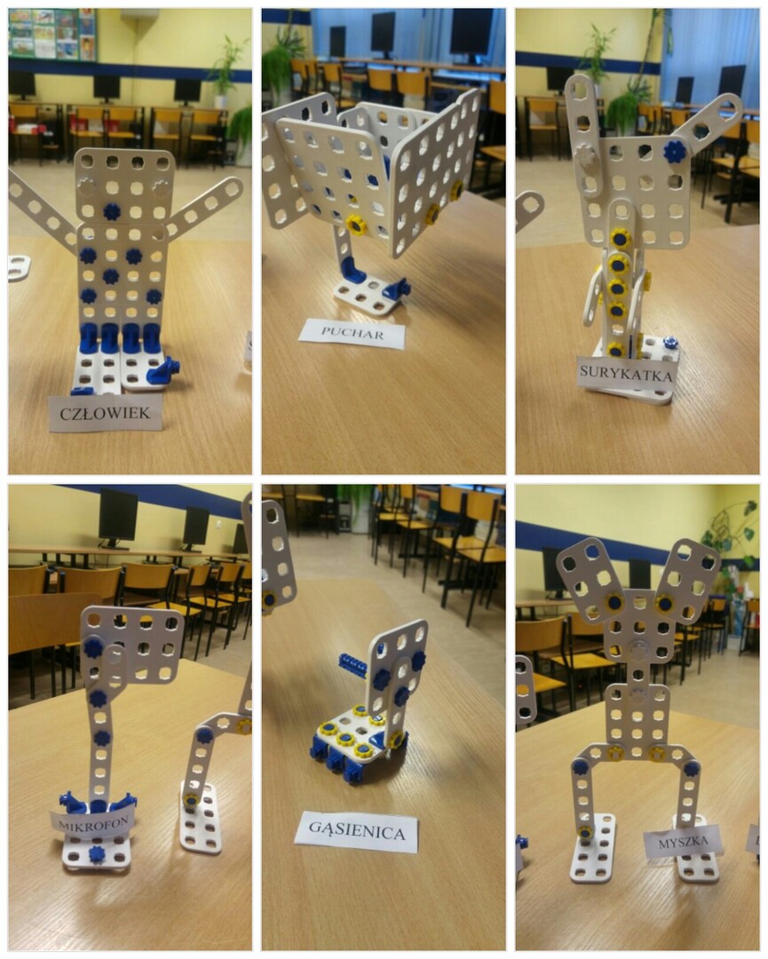 240209_193617_collage1.jpg [1304x1628]