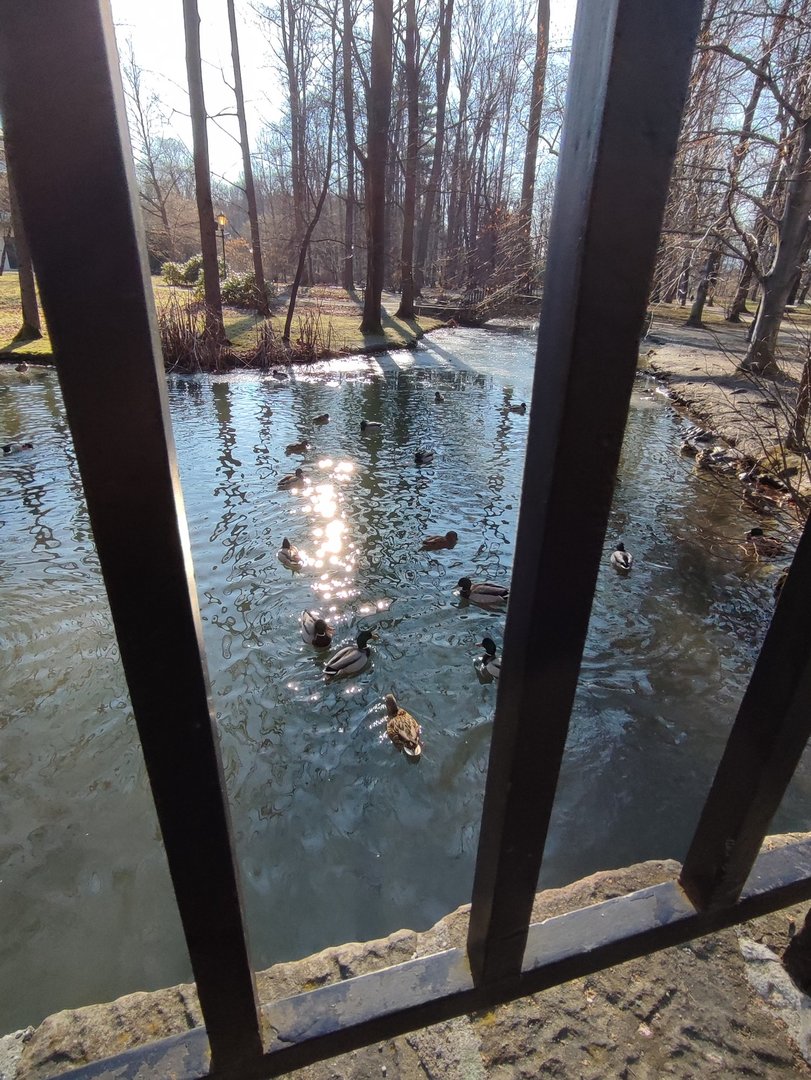 szymon_kedziorski_2a_park.jpg
