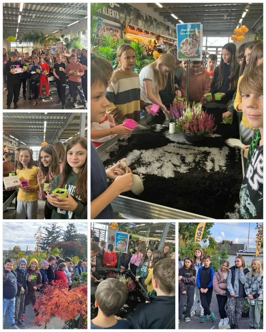 3b_warsztaty_ekolog_17102023_61.jpg [1281x1599]