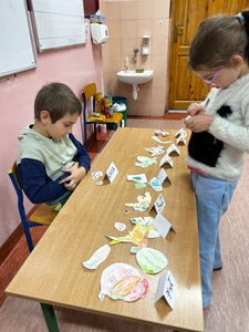 klasowy_warzywniak_1a_x2023_4.jpeg[small]