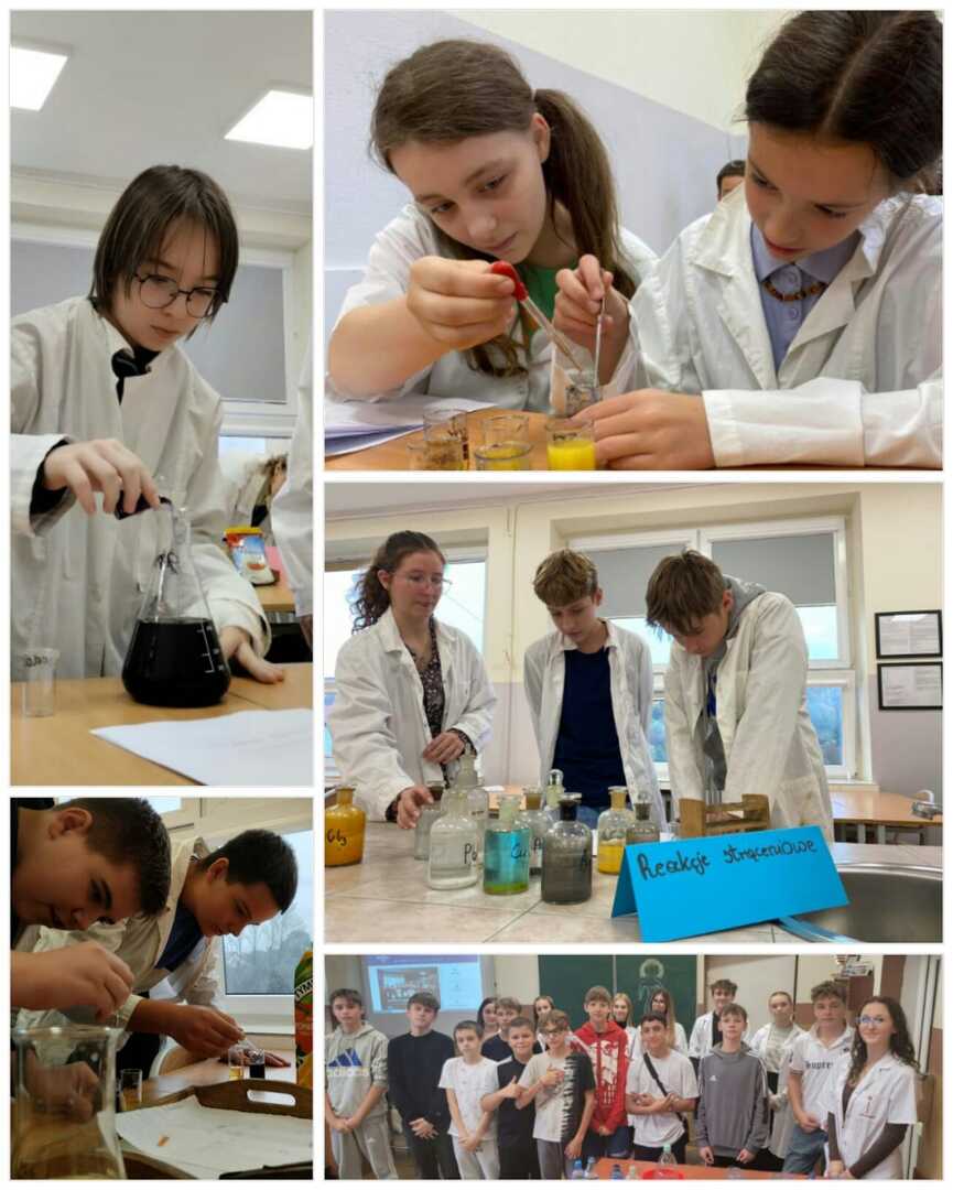 warszt_biolog_chemiczne_27x2023_7.jpg [1281x1599]