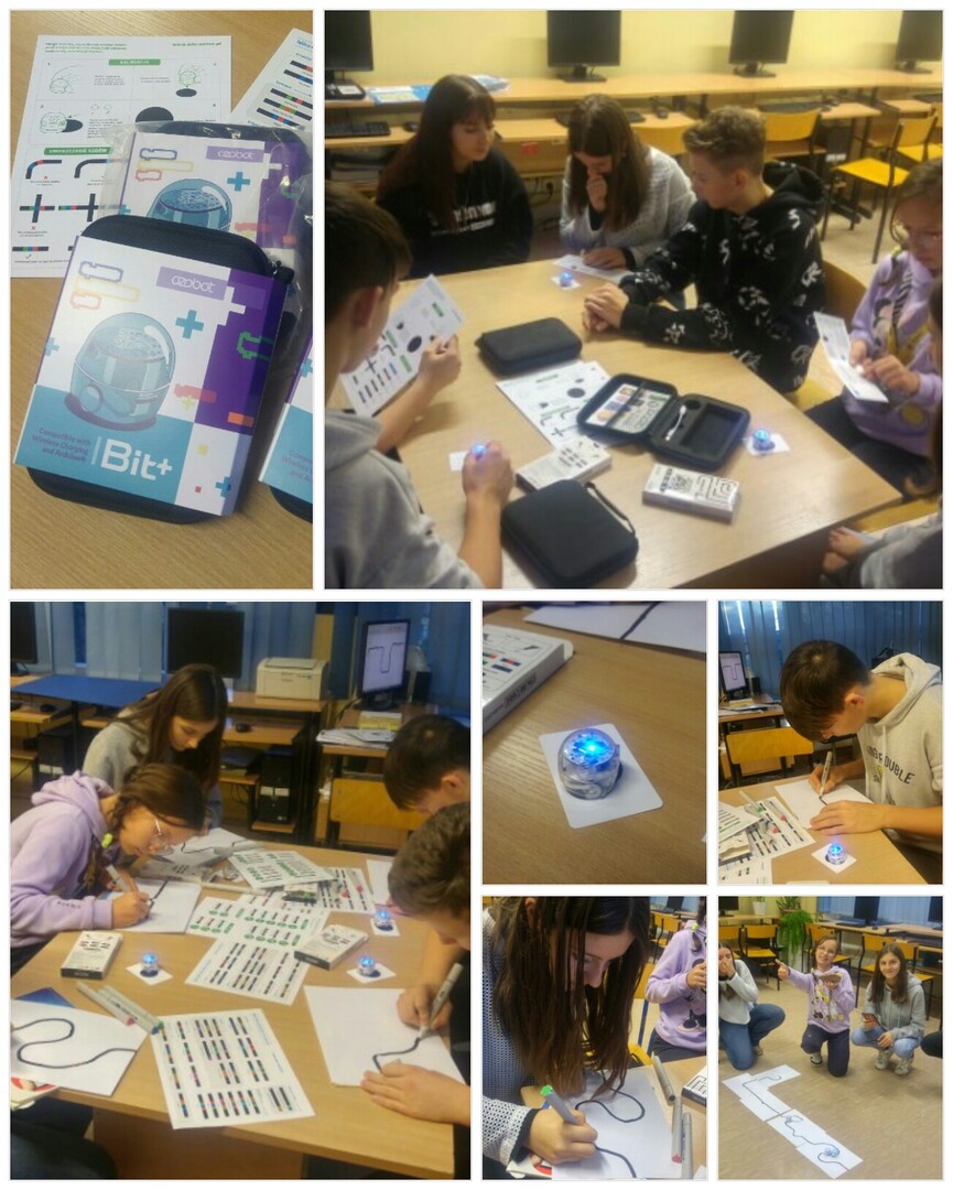 231121_191506_collage1.jpg [1304x1628]