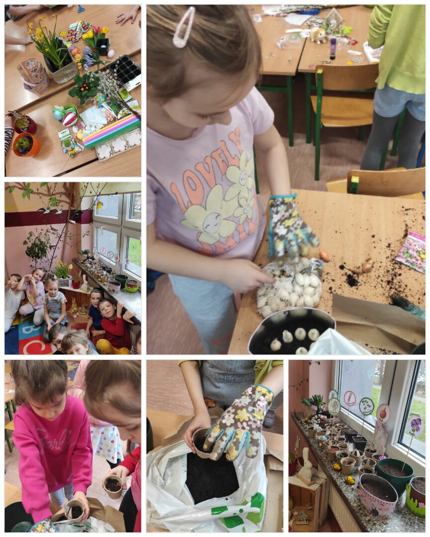 240321_002401_collage1.jpg [1304x1628]