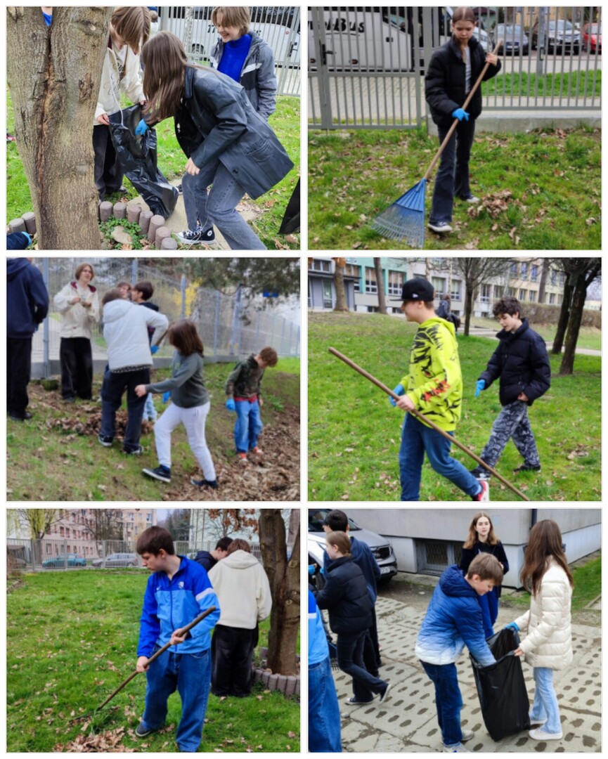 240322_223126_collage1.jpg [1304x1628]
