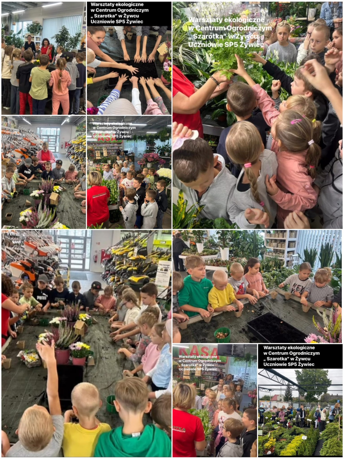 1000054471.jpg [1439x1920]