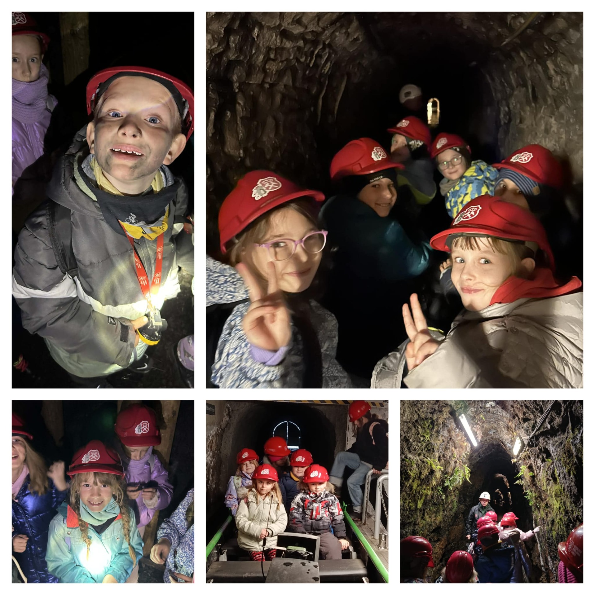 1000030771.jpg [1920x1920]