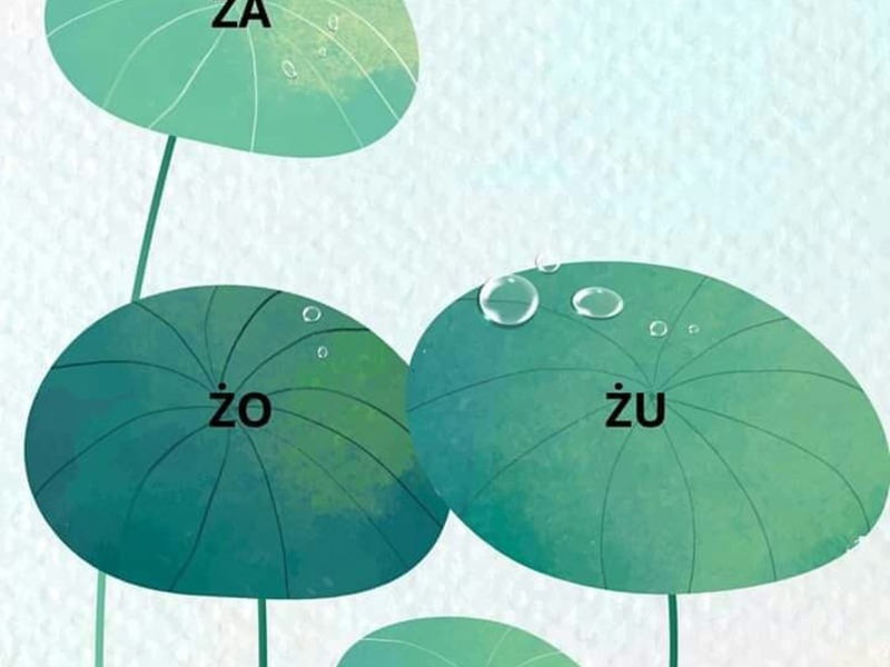 Zdjęcie