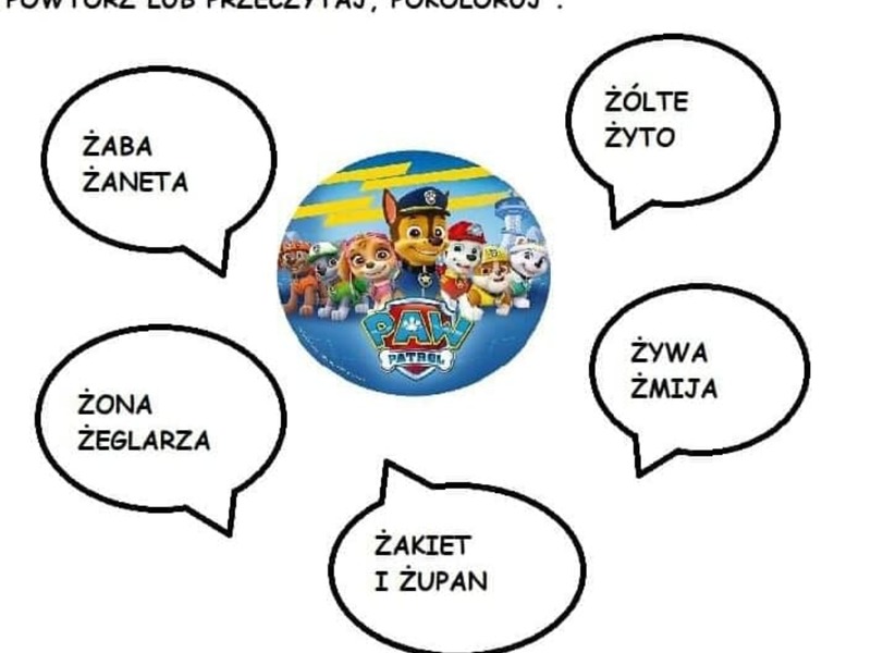 Zdjęcie