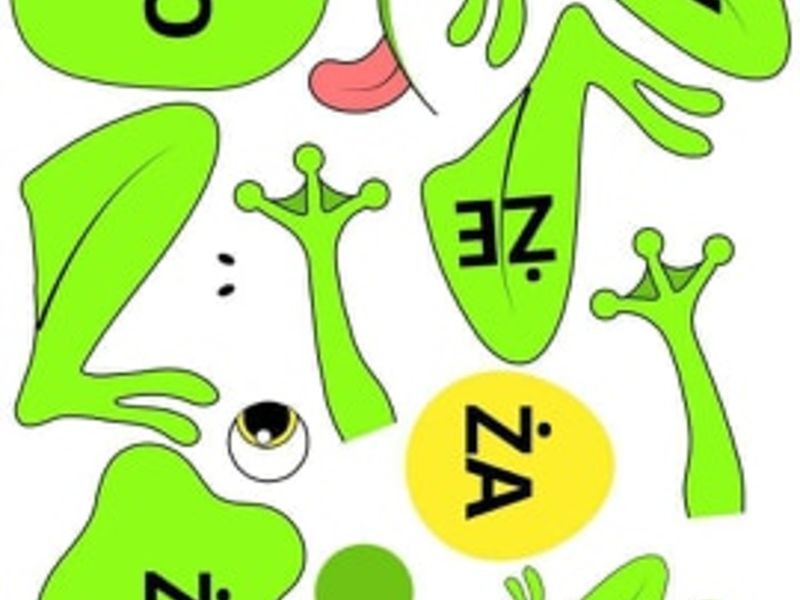 Zdjęcie