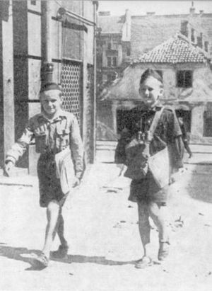 zawiszacyjpg [300x411]