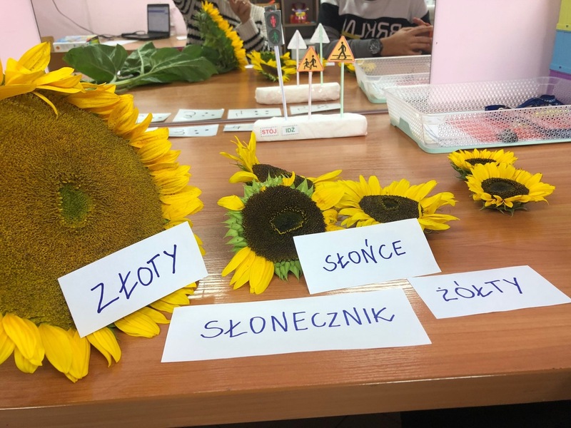 Zdjęcie