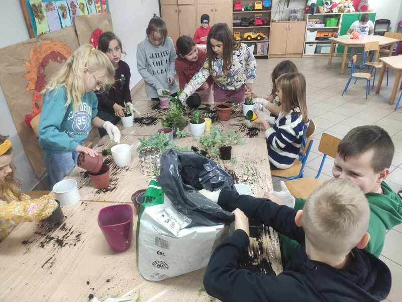 Zdjęcie
