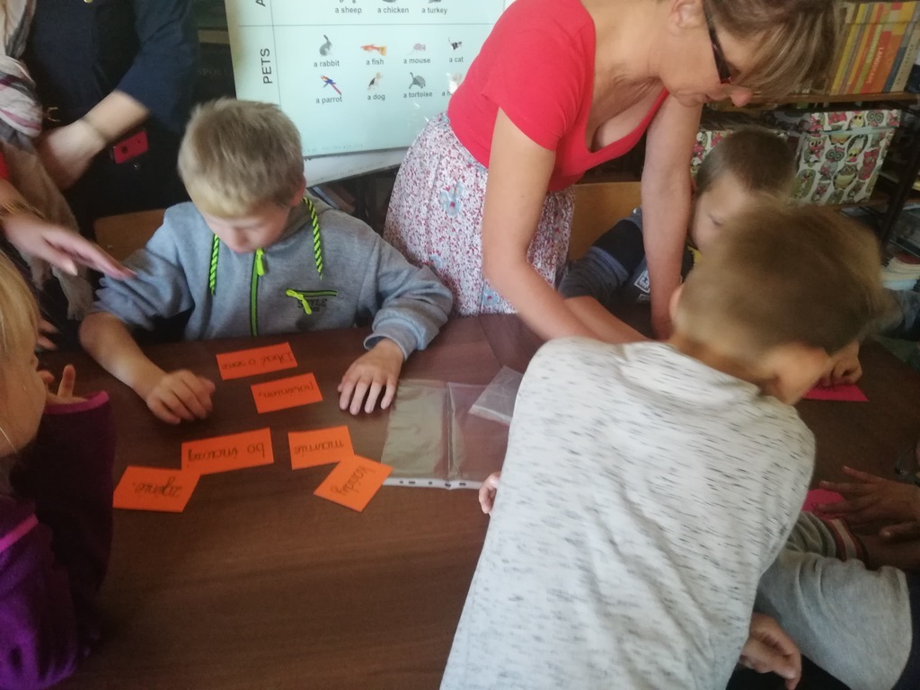 Tutaj powinien być opis