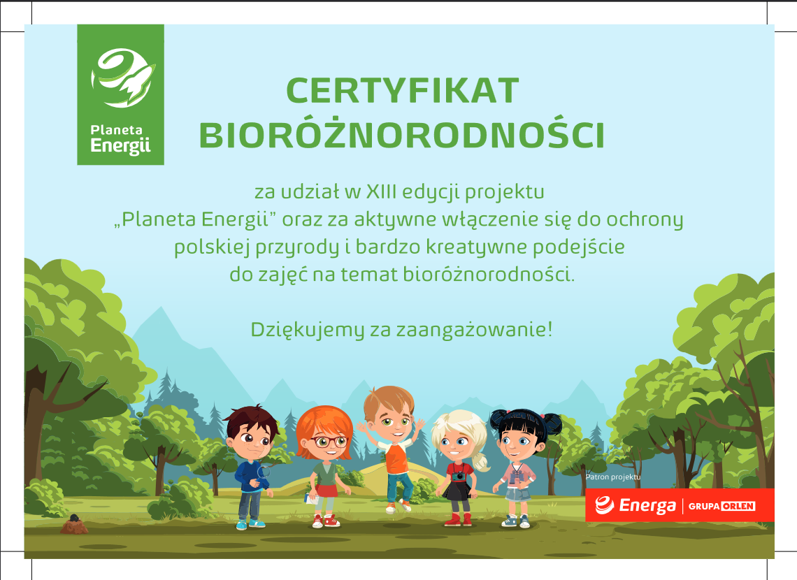 Tutaj powinien być opis
