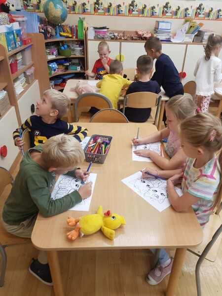 Zdjęcie