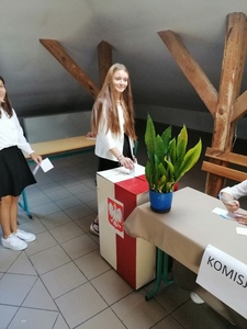 wybory samorządu