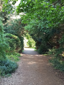 Arboretum