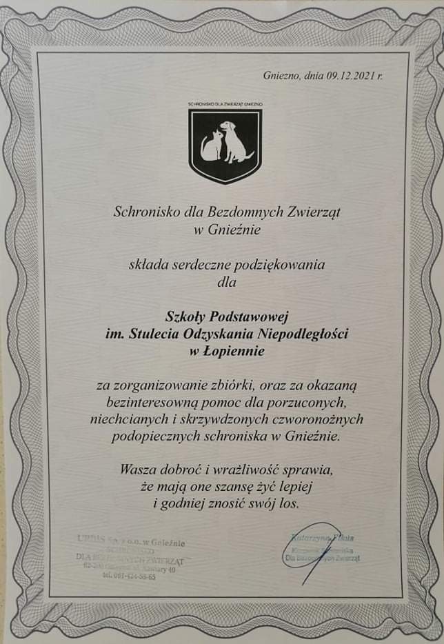 Tutaj powinien być opis