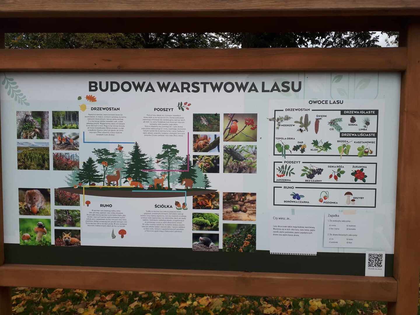 Tutaj powinien być opis