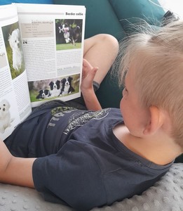 Filip Wójcicki kl. IVc