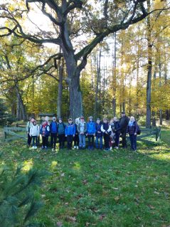 Tutaj powinien być opis obrazka