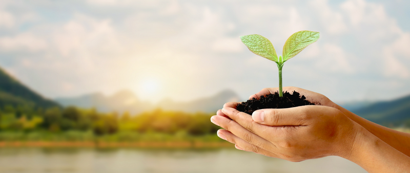 Tutaj powinien być opis obrazka