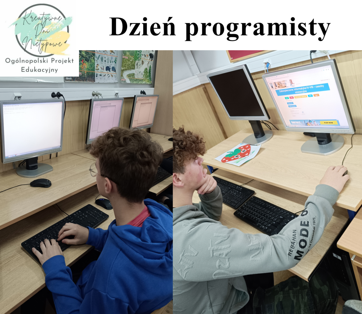 dzienprogmairsty.png [2300x2000]