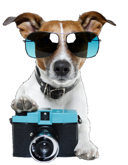 fotopiespng [250x321]