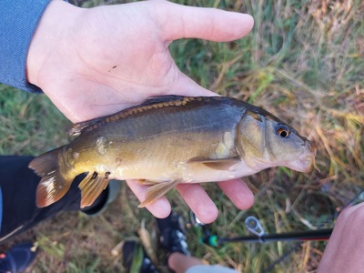 karp6jpg [400x300]