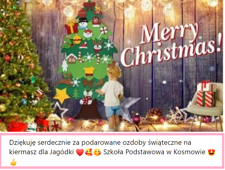 2podziekowaniawolontariatjagodkazsma1.png