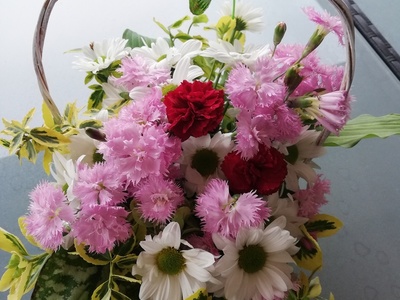 Andżelika Osip [400x300]