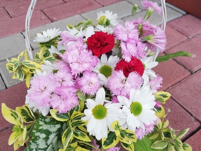 Andżelika Osip [400x300]