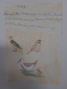 rprusinowski3.jpg[small]