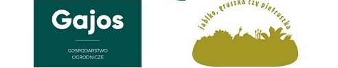 6jpg [492x100]