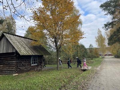 fot.: A. Kozak, S. Wołek-Latocha