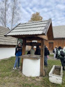 fot.: A. Kozak, S. Wołek-Latocha