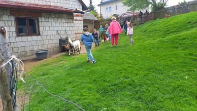 fot.: S. Siedlik Stopa