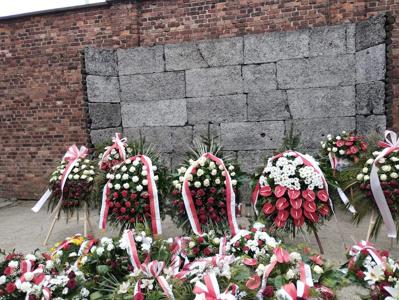 fot.: G. Sęk