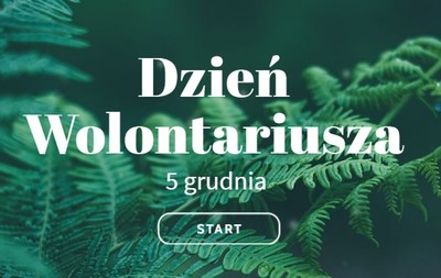 dzień wolontariusza