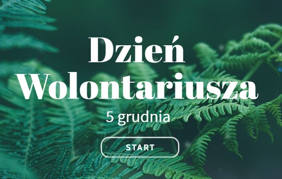 dzień wolontariusza