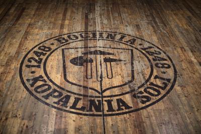 Logo Kopalni Soli Bochnia