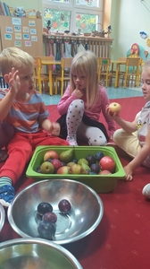 Dzieci nazywają i segregują owoce