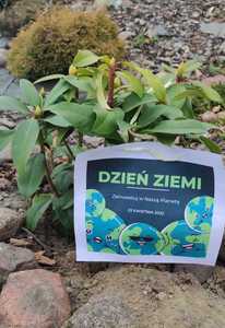 Dzień Ziemi w oddziałach "0a" i "0b"
